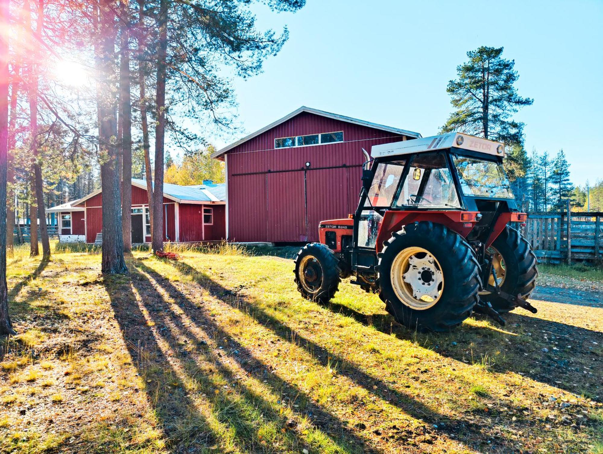Authentic At The Reindeer Farm * Tanhua