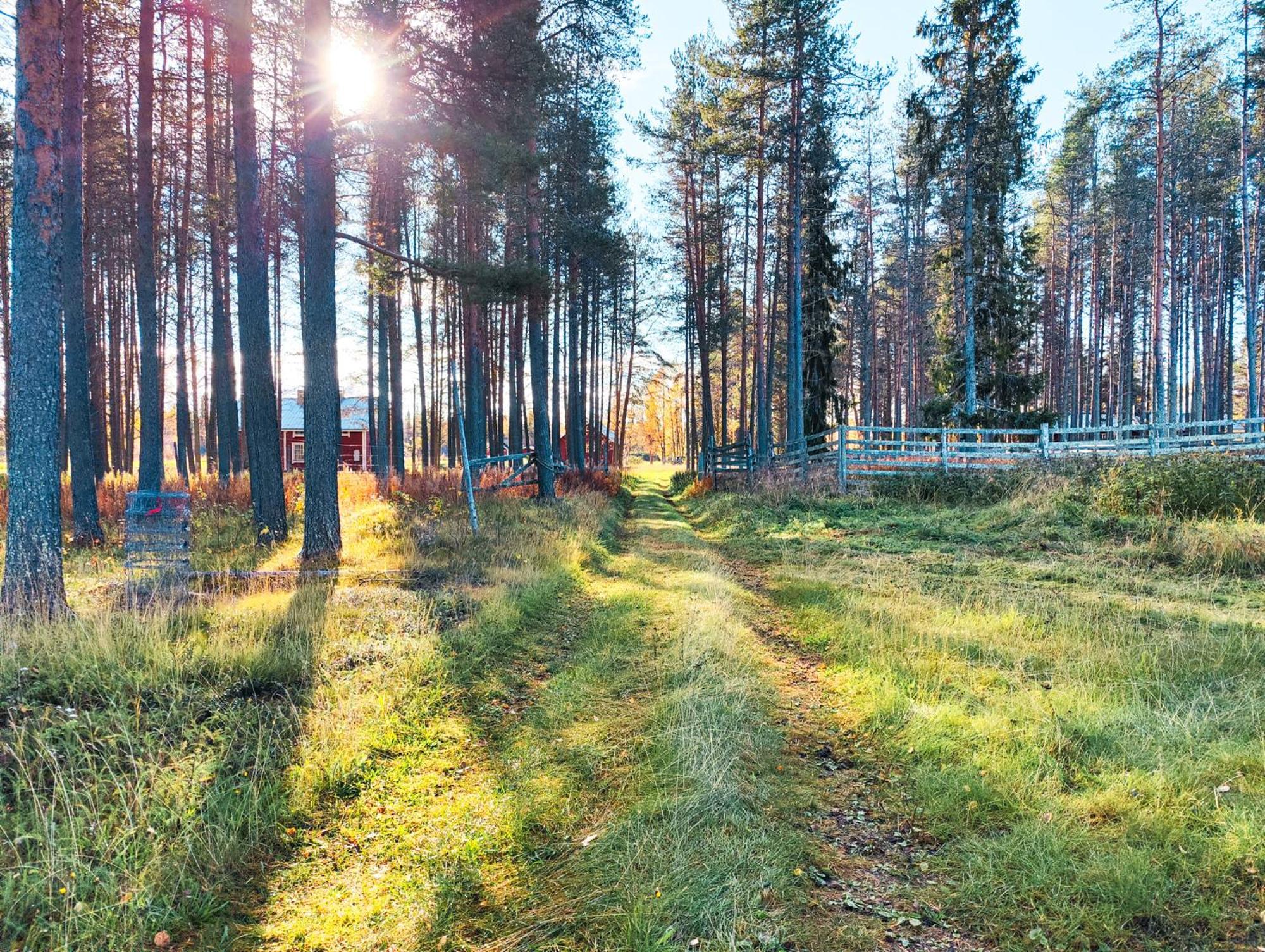 Authentic At The Reindeer Farm Holiday home